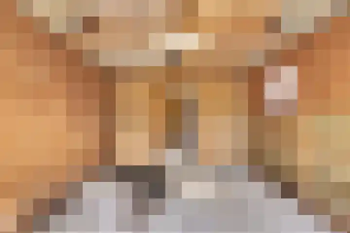 Het Plankenpad 40 Swifterbant thumbnail 34