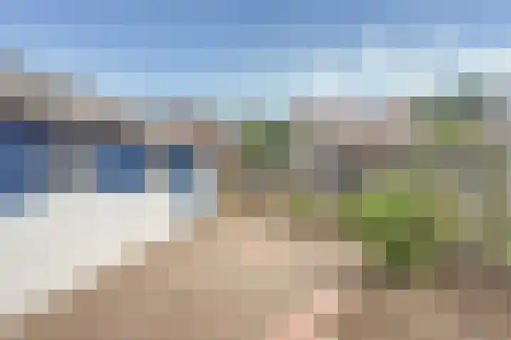Het Plankenpad 40 Swifterbant thumbnail 35