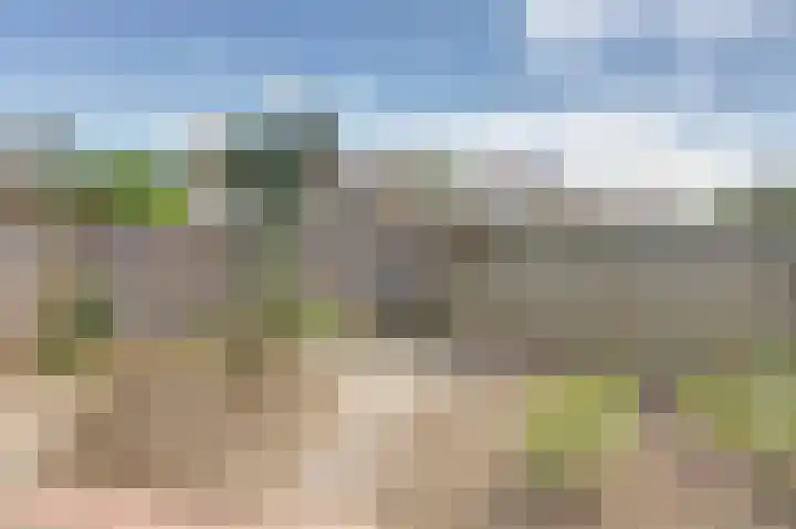 Het Plankenpad 40 Swifterbant thumbnail 38