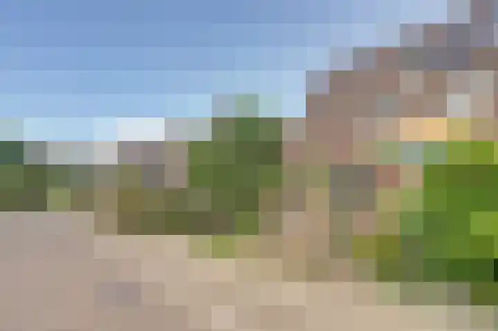 Het Plankenpad 40 Swifterbant thumbnail 39