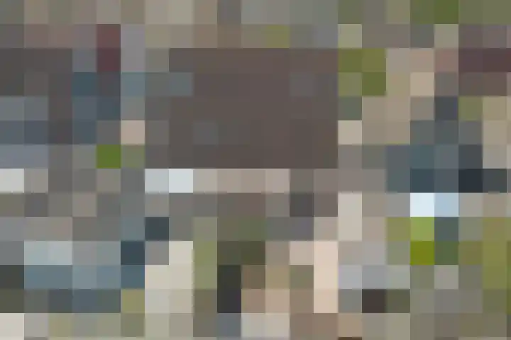 Het Plankenpad 40 Swifterbant thumbnail 40