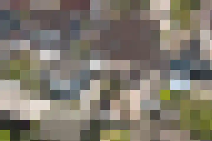 Het Plankenpad 40 Swifterbant thumbnail 41