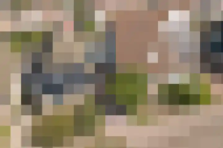 Het Plankenpad 40 Swifterbant thumbnail 42