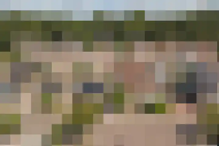 Het Plankenpad 40 Swifterbant thumbnail 43
