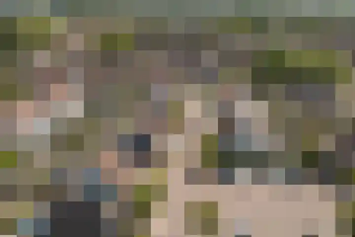 Het Plankenpad 40 Swifterbant thumbnail 44