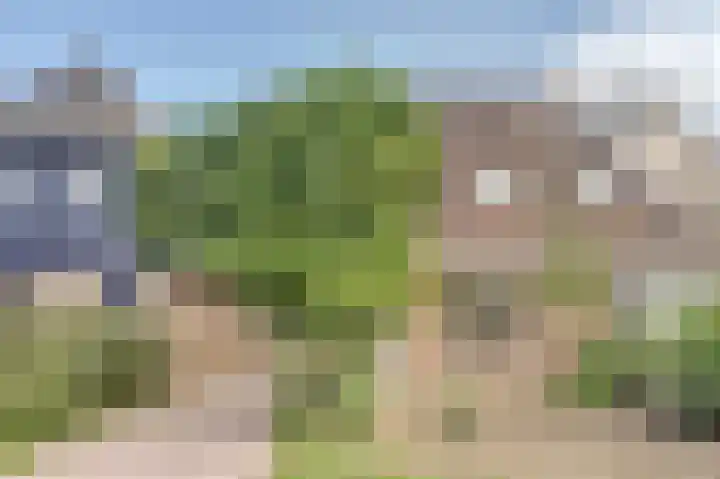 Het Plankenpad 40 Swifterbant thumbnail 5