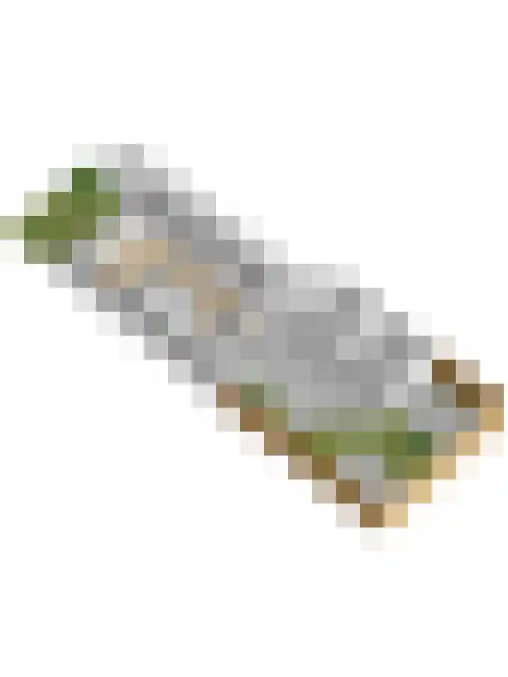 Het Plankenpad 40 Swifterbant thumbnail 50