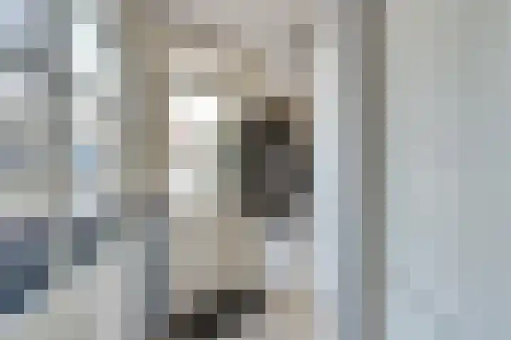 Het Plankenpad 40 Swifterbant thumbnail 6