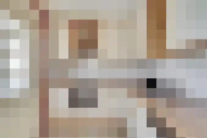 Het Plankenpad 40 Swifterbant thumbnail 7