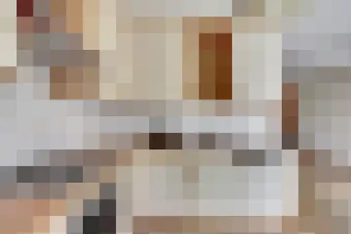 Het Plankenpad 40 Swifterbant thumbnail 9