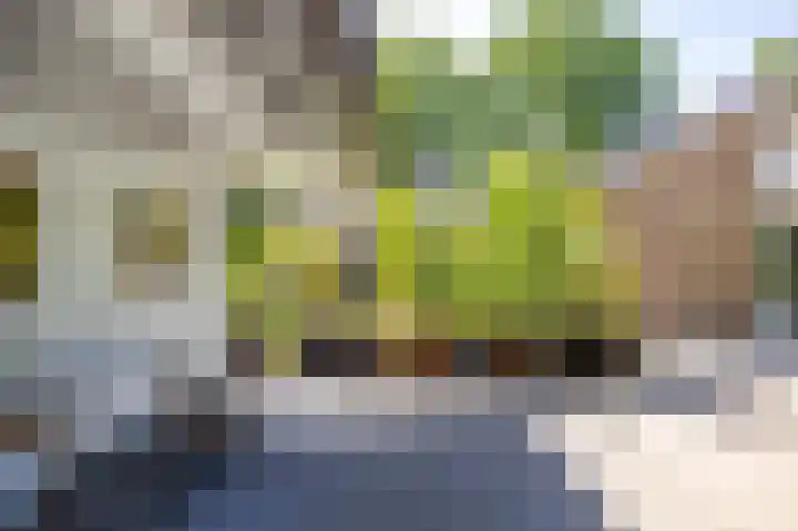 het Poeltje 4 Gieten thumbnail 11