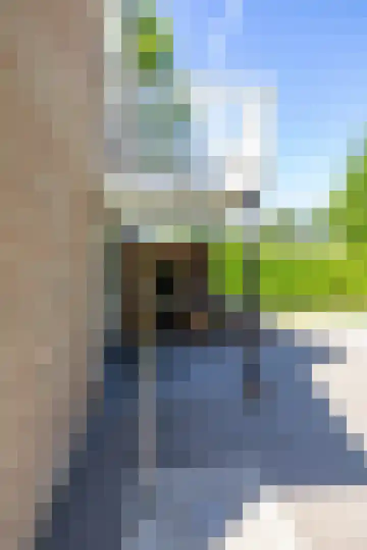 het Poeltje 4 Gieten thumbnail 14
