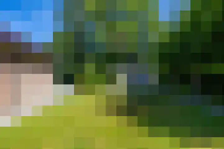 het Poeltje 4 Gieten thumbnail 17