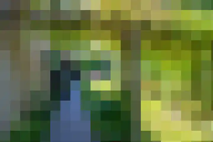 het Poeltje 4 Gieten thumbnail 19