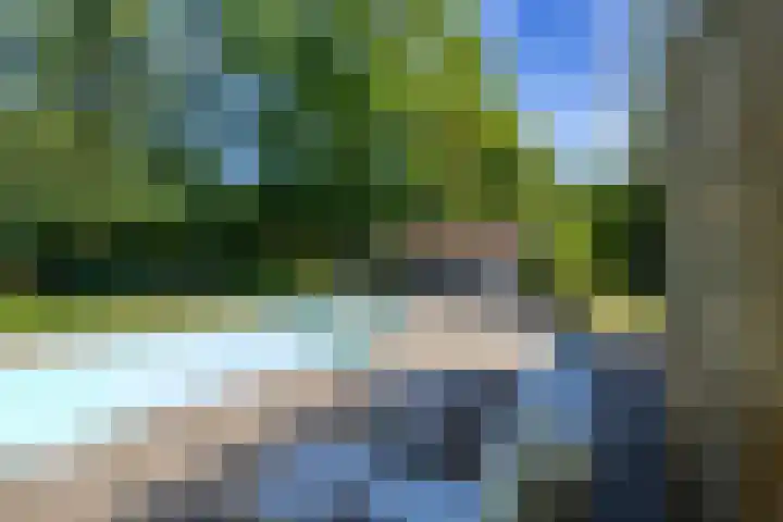 het Poeltje 4 Gieten foto 2