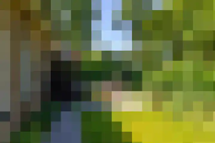 het Poeltje 4 Gieten thumbnail 20
