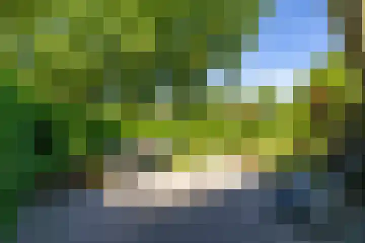 het Poeltje 4 Gieten thumbnail 21