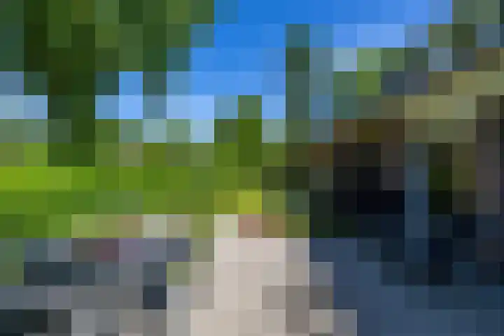 het Poeltje 4 Gieten thumbnail 22