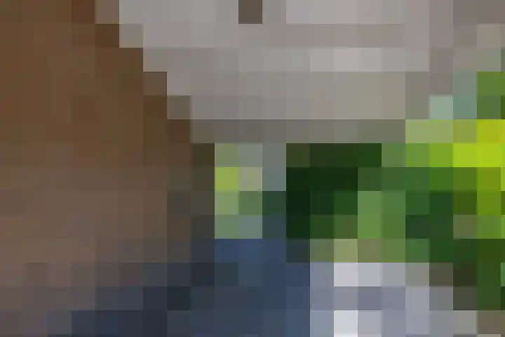 het Poeltje 4 Gieten thumbnail 23
