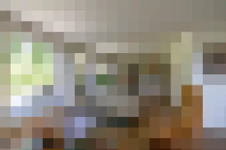 het Poeltje 4 Gieten foto 3