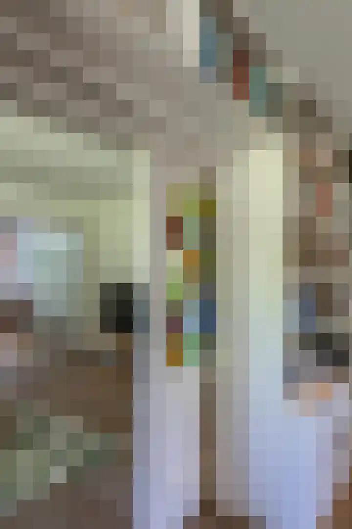 het Poeltje 4 Gieten thumbnail 34