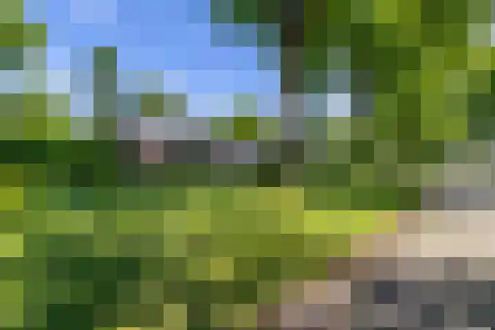 het Poeltje 4 Gieten thumbnail 67
