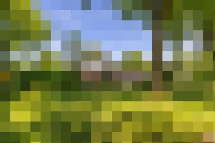 het Poeltje 4 Gieten thumbnail 68