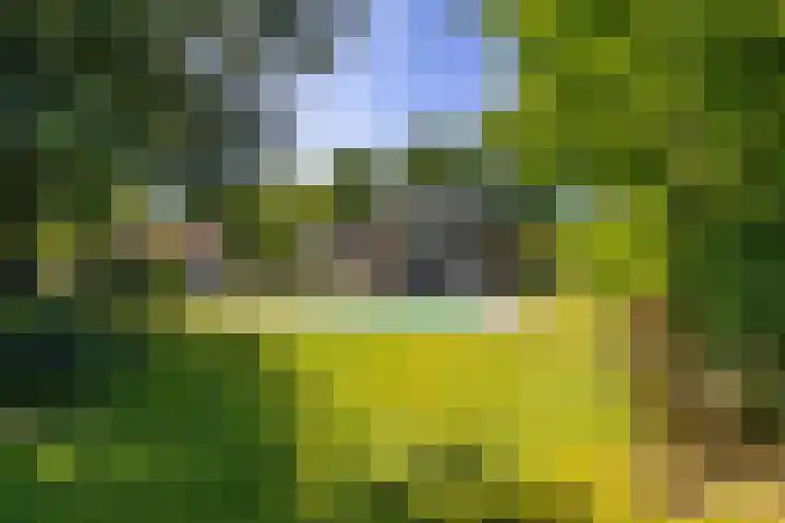 het Poeltje 4 Gieten thumbnail 9