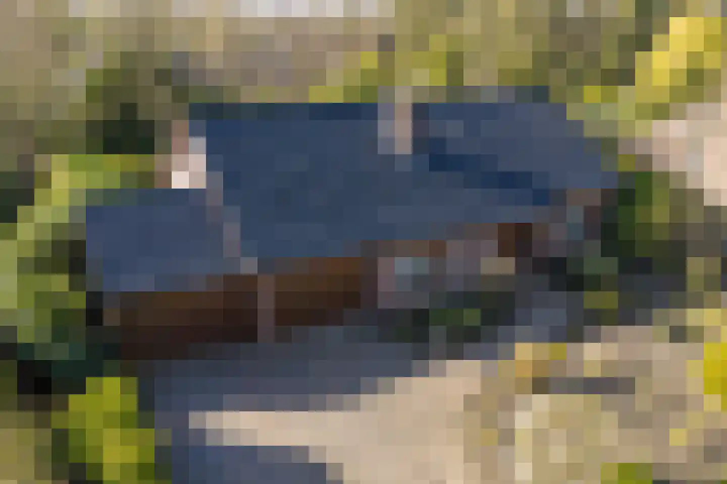 het Poeltje 5 Gieten foto 2