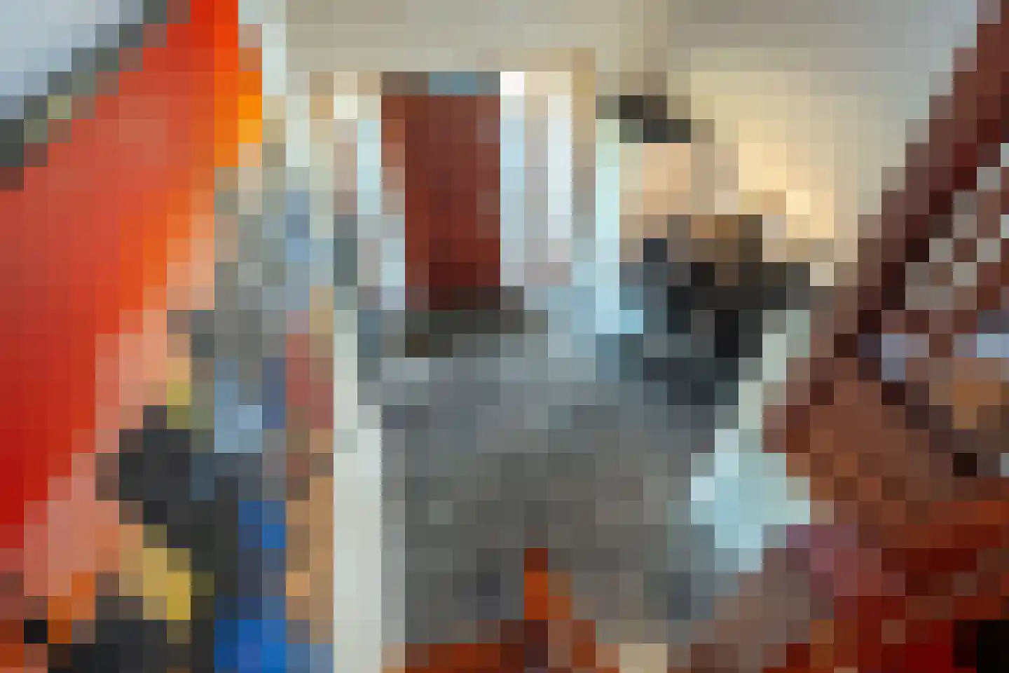 het Poeltje 5 Gieten thumbnail 29