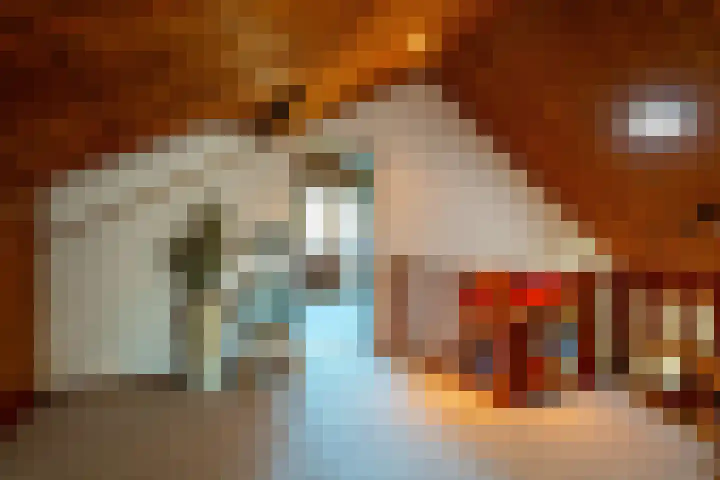 het Poeltje 5 Gieten thumbnail 31