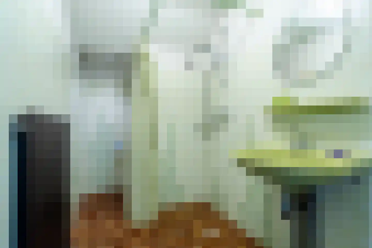 het Poeltje 5 Gieten thumbnail 38