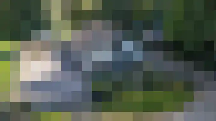 Het Pompje 13 Lieren thumbnail 21
