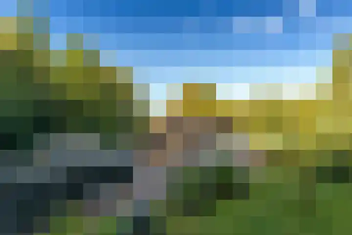 Het Pompje 13 Lieren thumbnail 23