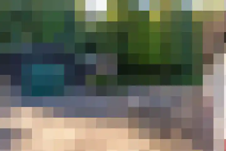 Het Pompje 13 Lieren thumbnail 28