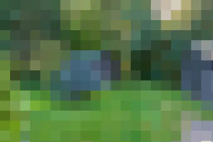 Het Pompje 13 Lieren thumbnail 30