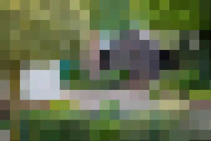 Het Pompje 13 Lieren thumbnail 37