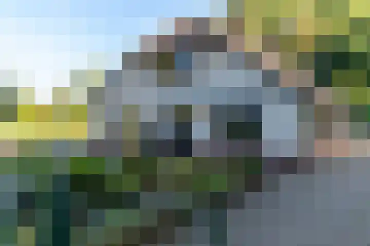 Het Pompje 13 Lieren thumbnail 39