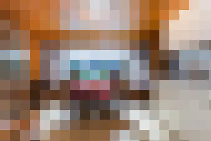 Het Pompje 13 Lieren thumbnail 6