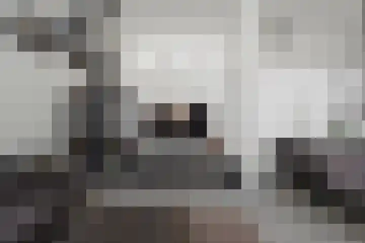 Het Pontveer 2 Diemen thumbnail 10
