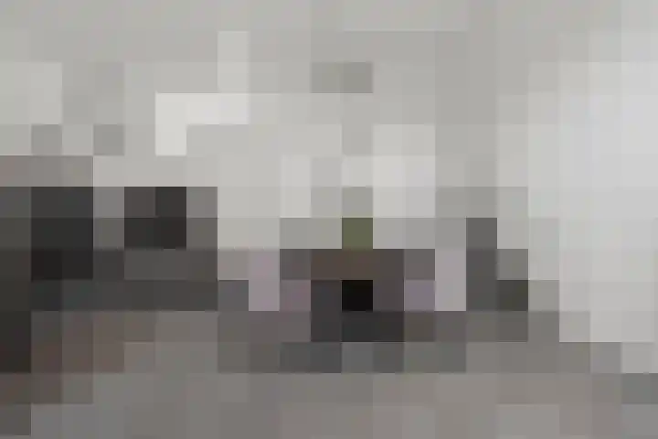 Het Pontveer 2 Diemen thumbnail 13