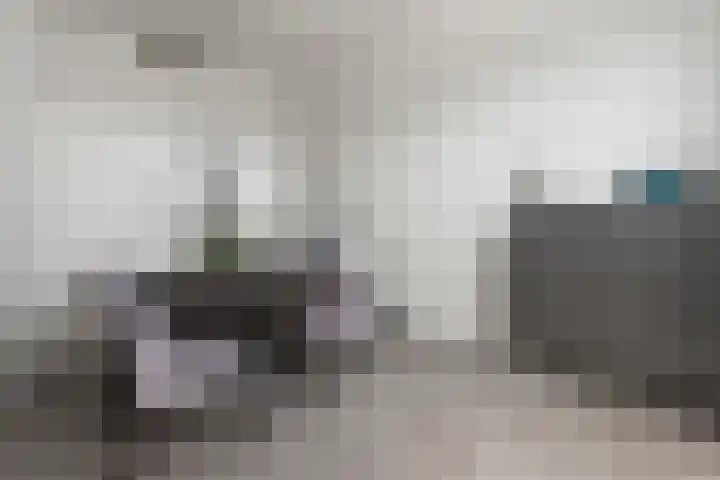 Het Pontveer 2 Diemen thumbnail 14