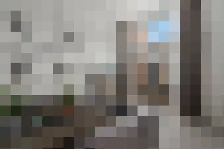 Het Pontveer 2 Diemen thumbnail 16