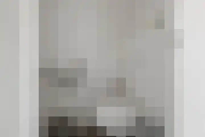 Het Pontveer 2 Diemen thumbnail 21