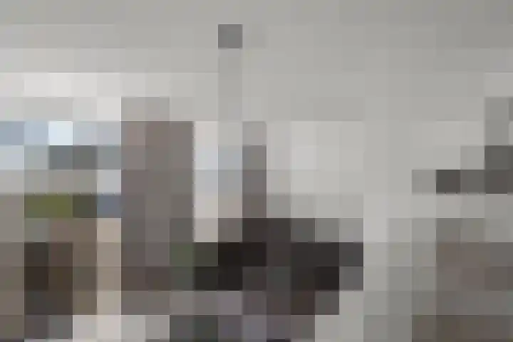 Het Pontveer 2 Diemen thumbnail 23