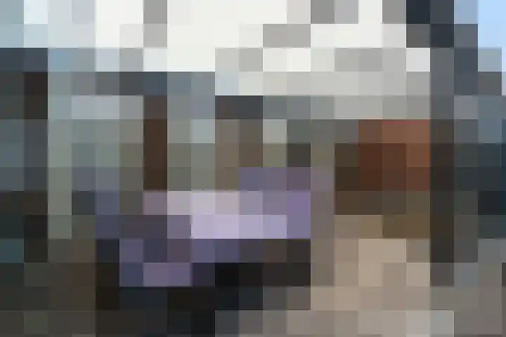 Het Pontveer 2 Diemen thumbnail 26