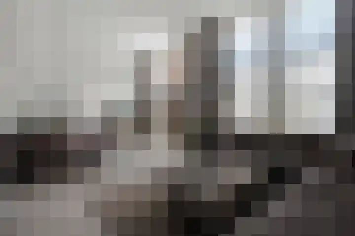 Het Pontveer 2 Diemen foto 3