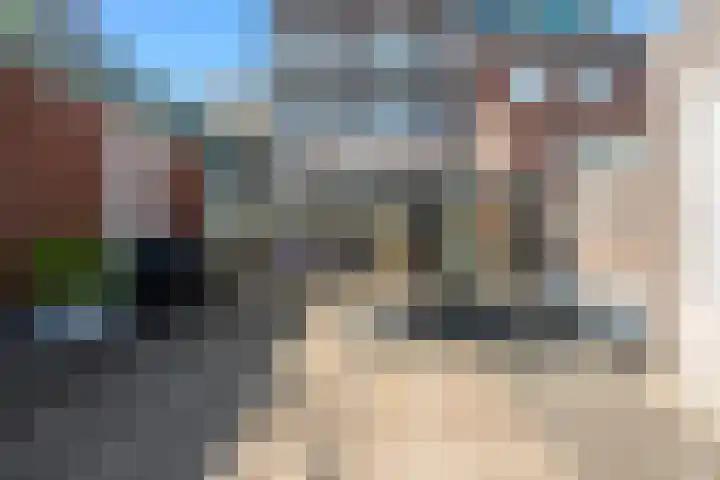 Het Pontveer 2 Diemen thumbnail 33