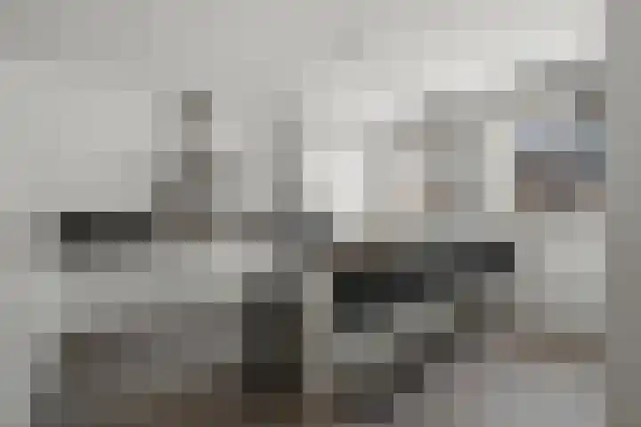 Het Pontveer 2 Diemen thumbnail 4