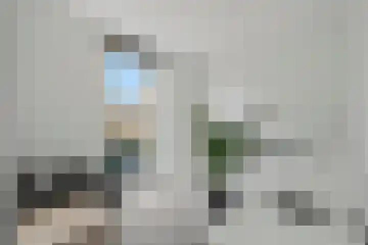 Het Pontveer 2 Diemen thumbnail 47